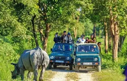 Northeast India Nature & Wildlife Tour
